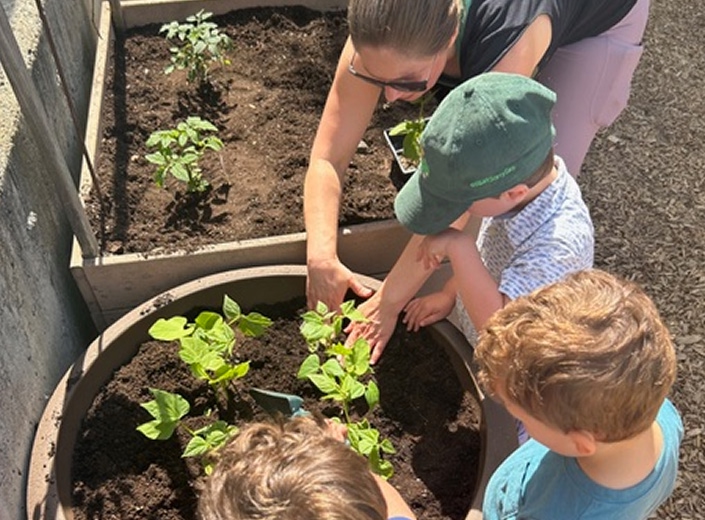 Our Garden