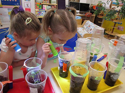 Students exploring plants growing in cups with flashlights