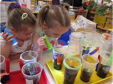 Students exploring plants growing in cups with flashlights