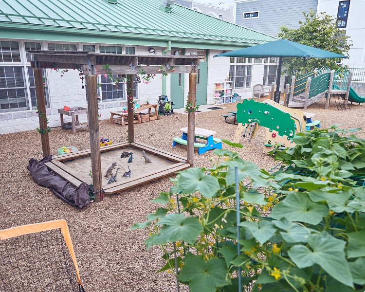 CHDS-ourschool-main Children's Happy Day outdoor space